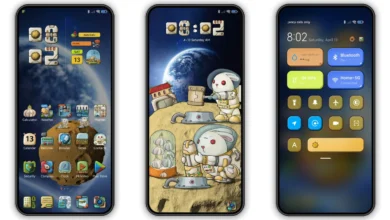 Forever Pound HyperOS and MIUI Theme