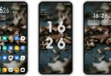 DryLeaves_V14 MIUI Theme