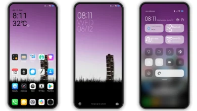 Dw-BlinV15 MIUI Theme