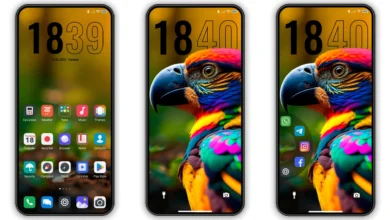 MTX•PLASMA Theme