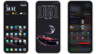 R0G3R_IZV3 HyperOS Theme