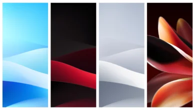 Meizu Note 16 (Pro) Wallpapers