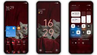 Bawaan MIUI Theme