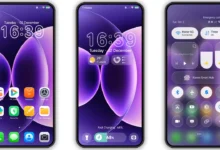 Dog Fruit HyperOS Theme