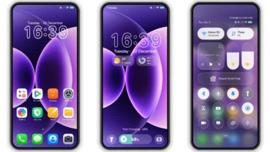 Dog Fruit HyperOS Theme