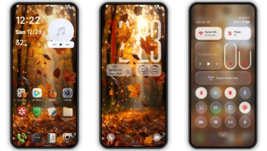 OX 3D1 HyperOS Theme