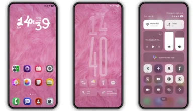 Testnet HyperOS Theme