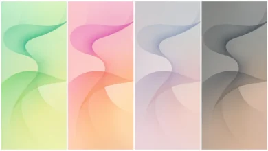 Samsung Galaxy Z Flip 8 Wallpapers