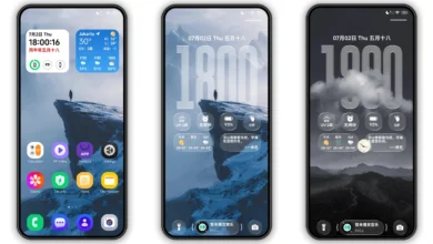 Seasonal Raster Effect HyperOS Theme Preview