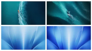 Vivo X Fold 6 Wallpaper Preview